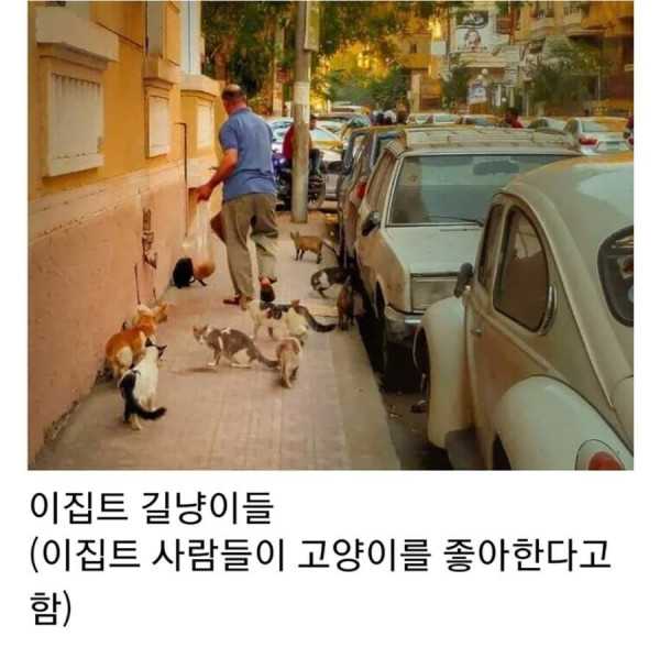 관광책자에서는 볼 수 없는 진짜 이집트의 모습들