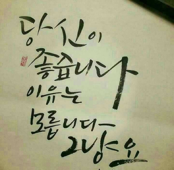 기타 처음 산, 초보 처자