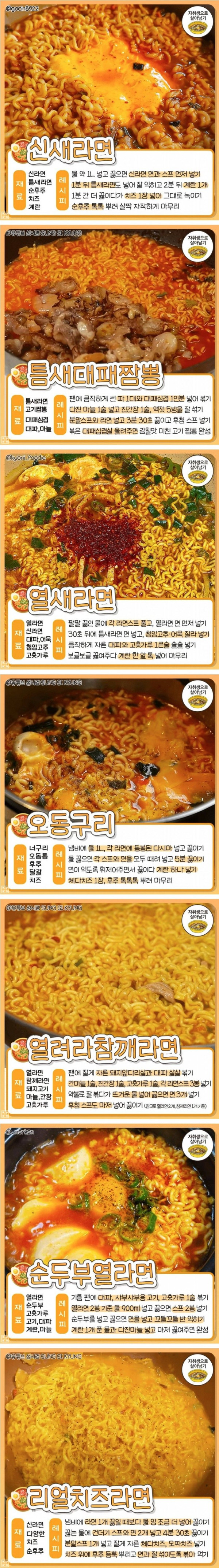 라면 꿀 조합 레시피