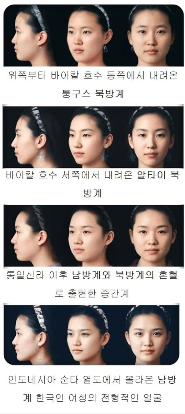 북방계 남방계 여성 얼굴