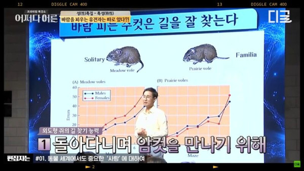 뇌과학 - 바람피는 수컷의 특징